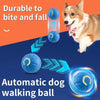 Smart USB Jumping Ball Toy