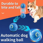Smart USB Jumping Ball Toy
