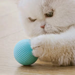 Magic Cat Ball Toy