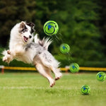 Interactive Giggle Dog Ball