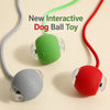 The Self-Rolling Smart Ball for Dogs