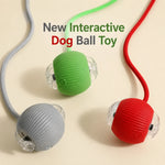 The Self-Rolling Smart Ball for Dogs