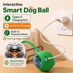 The Self-Rolling Smart Ball for Dogs