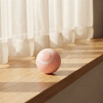 Magic Cat Ball Toy