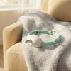 Rechargeable laser cat collar for interactive play