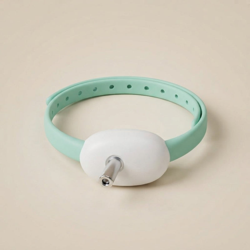 Cat wearing rechargeable laser collar